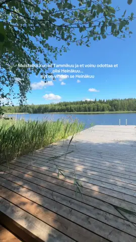 Vielä on kesää jäljellä🪷 #kesä #suomitiktok #Summer 