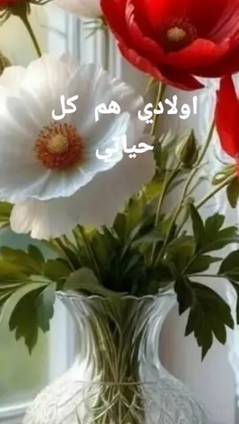 اولادي هم حياتي