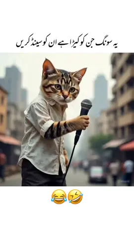 #duet with @╰┈➤ ❝ [𝐌𝐀𝐋𝐈𝐊] ❞ #funnyvideo Funny song#🤣🤣🤣🤣🤣 