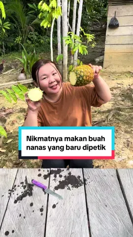 Nikmatnya makan buah nanas kampung #makanbuah #buahnanas #nanaskampung #anakkampung 