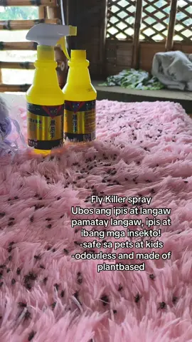 pamatay langaw, ipis ar ibang mga insekto! -safe sa pets at kids -odourless and made of plantbased #flykiller #insectkiller #homeownertips #pamataylangaw #noflies #pesticides #insectkillerspray #pest#pesticideecleaning #insect #langaw #ipis #homecaretips #parentingtips