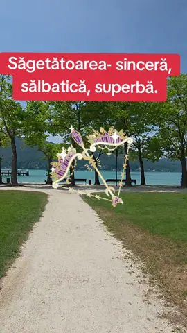#sagetator♐️ 