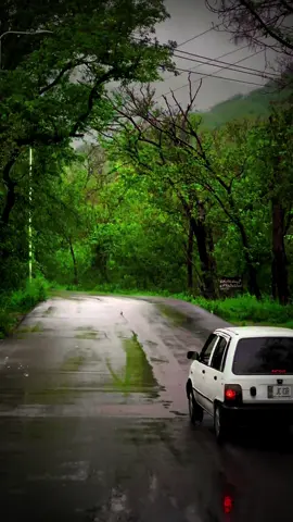 Feel the lyrics🥀😔 #islamabad #islamabadian #greenpakistan⚘🇵🇰⚘ #naturalbeauty #plzviralvideo #tiktokofficial #standwithkashmir #foryoupage #tiktokpakistan #foryou 