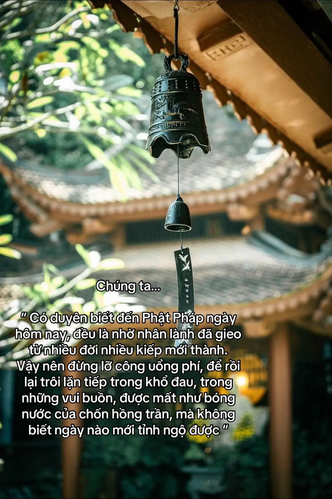 #mattong #mattongvietnam #mattongkimcuongthua #phatphap #phatphapnhiemmau #ducphat #nammoadidaphat #baihoccuocsong #phatgiaovietnam #xuhuong #phatphapvobien #binhyen 