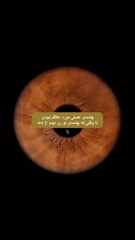 #foryou #foryou #فوريو #fypシ゚viral #S💘 @camera88 چشمای خاص عسلی:))😭 Editor:@⭐️ 