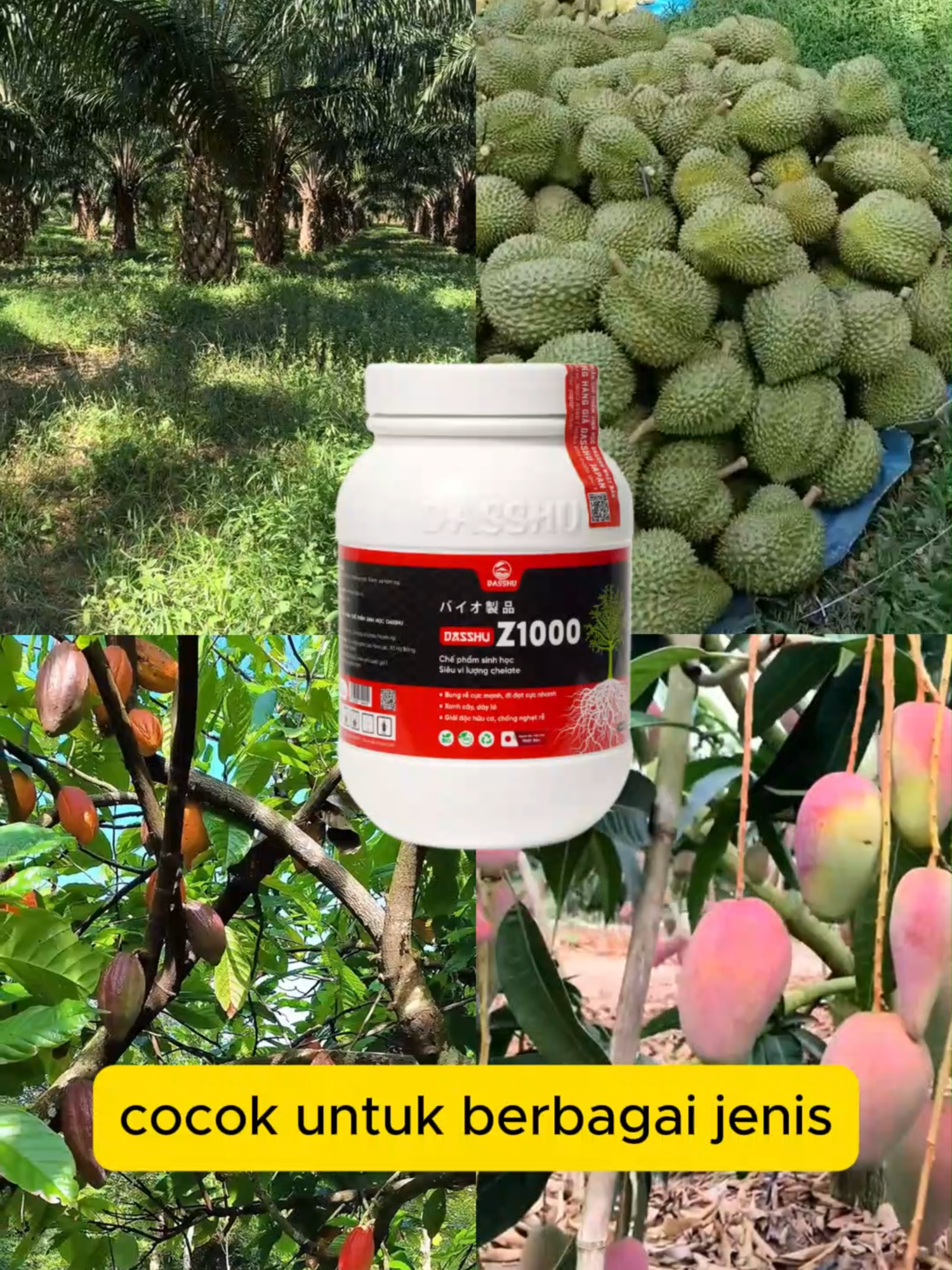 Diskon 50% Pupuk Z1000 - Solusi bagi tanaman agar akar kuat, daun hijau, daun tebal, tunas gemuk #pupuk #perkembangantanaman #akarkuat #meningkatkanproduktivitastanaman #pohonbuah #kelapasawit