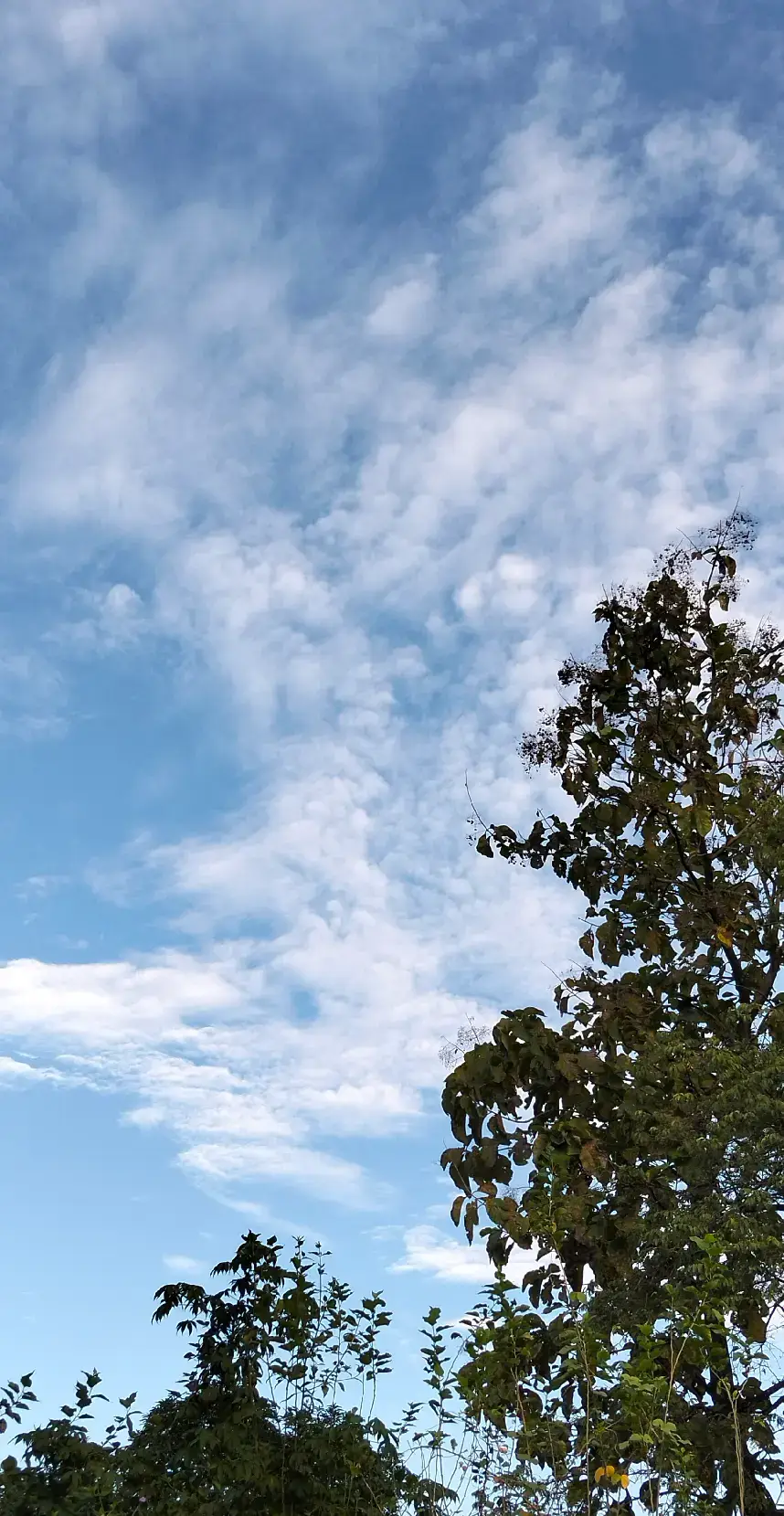 skyblue#sky #aestetik #lewatberanda #fyppp #lewatberanda #cinematic #sunrise #lewatberanda #fotolangit #skyblue