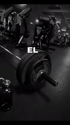 PROHIBIDO RENDIRSE #GymTok #envejeciendoconestilo #PROHIBIDORENDIRSE #gymilife #action #GYMLOVER #gymmotivation #creatorsearchinsights 