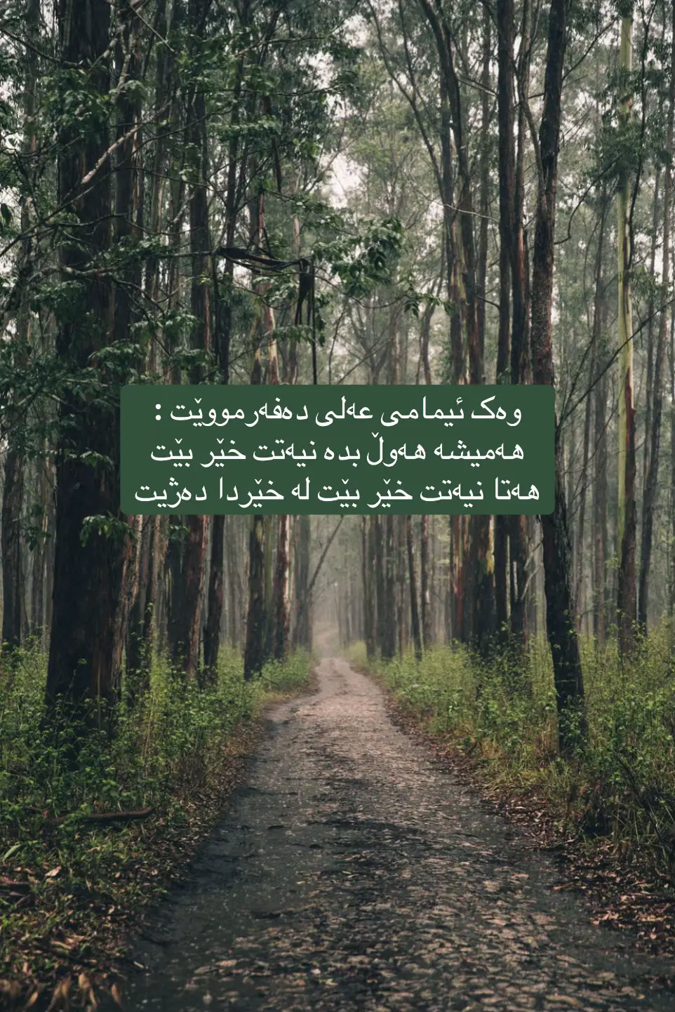 #hawler_slemani_dhok_karkuk_hallabja #💔 #🥺🥺 #tiktok #crying 