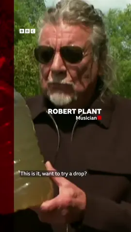 #Robertplant #robertplantfans #zeppelin #musician #music #80s #80 #80smusic #80sbaby #70s #70 #70smusic #celebrity #uk #london #trend  #viral #fyp 