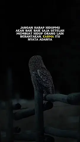#katakata 