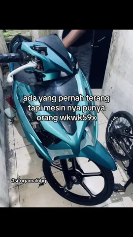 malu dong wkwk #fyp #heydolphins 