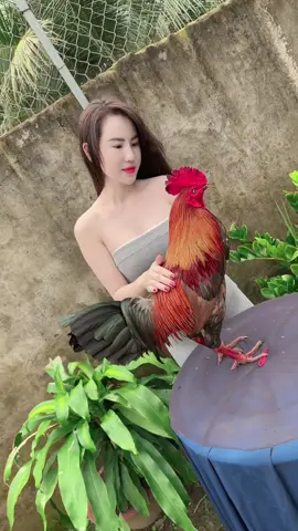 Cưng em lắm cục vàng của chị #xuhuong #traigathanhcong 