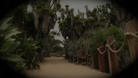 قَالَ يُوسُفُ لِأَبِيهِ يَا أَبَتِ إِنِّي رَأَيْتُ أَحَدَ عَشَرَ كَوْكَبًا وَٱلشَّمْسَ وَٱلْقَمَرَ رَأَيْتُهُمْ لِي سَاجِدِينَ#قرآن #آية_٣٠ #quran #quran_alkarim #islamicvideo #راحة_نفسية #إسلام #quranrecitation #muslim #viral #fyp #muslim