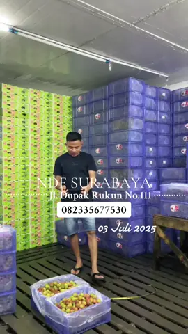 Hayukkkk ramaikan kembali Bosku#ndfsurabaya #custemersetiaNdF #fypシ゚viral 