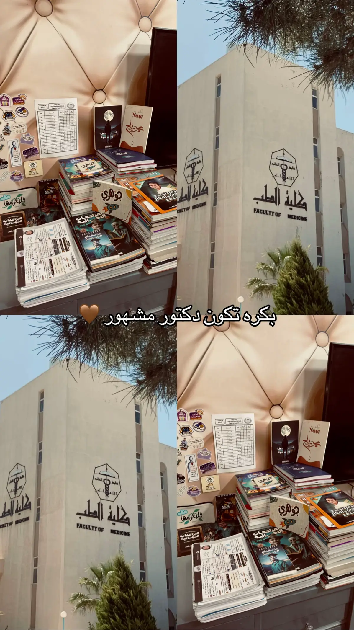 #ثانويه_عامه #دفعه_2025 #تالته_ثانوي #امتحانات #مذاكره #كليه_الطب #مراجعة #طب #نتيجه_الثانويه_العامه #علمى_علوم #explore #viral #fyp 