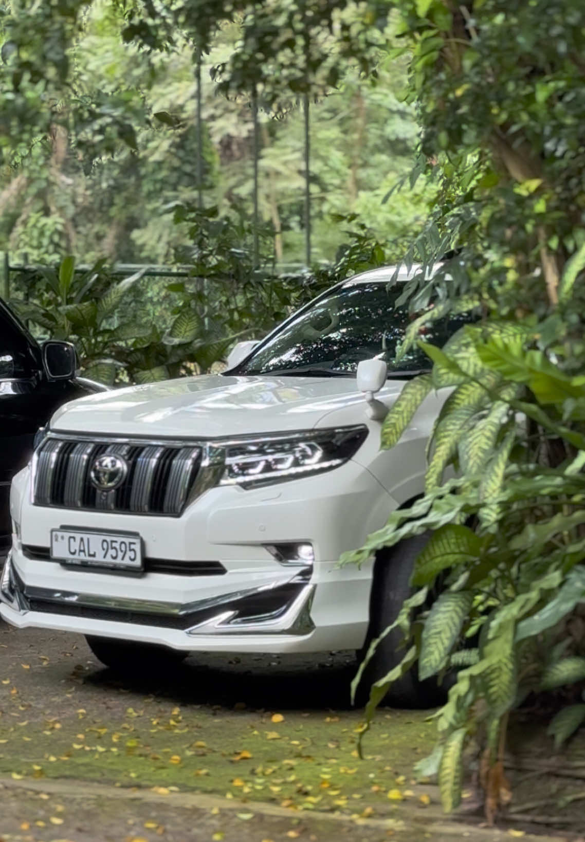#prado 🤍💀❗️@TEAM LUCIFER #landcruiser #flypシ #viral #tx #150 #dailysmoking#colombo #tx #onemillionaudition #flyppppppppppppppppppppppppppppppp #fly #landcruiserprado #toyota #new #2025 #baby #dailysmoking #song 