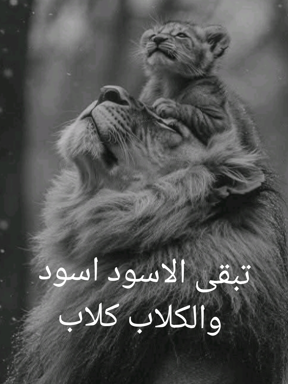 لا تعسف على غدر الزمان #الذئب١١١🐺 