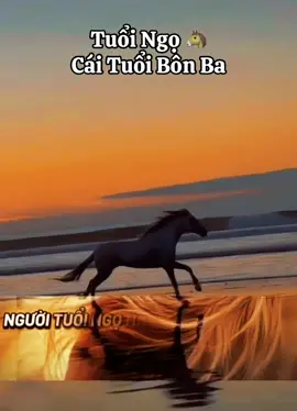 #🇻🇳 #canhngo1990 #facebook #9x #xuhuong #trend #sad 