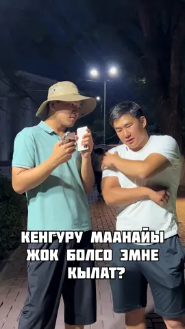 #creatorsearchinsights #karabalta #бишкек🇰🇬 