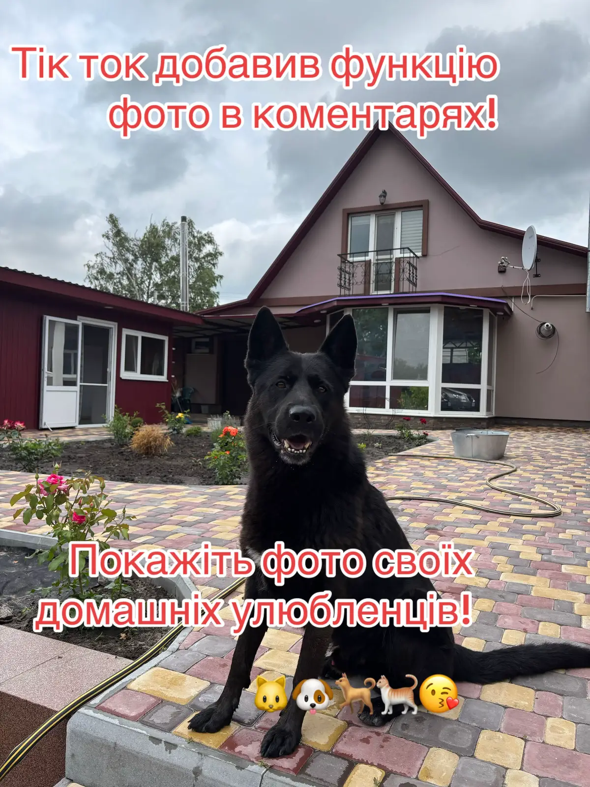 #домашніулюбленці #гарногонастрою😁 #позитив #приколи #гумор #🥰🥰🥰🥰❤️❤️❤️ 