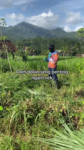 Ninja beraksi🥷#peternakmuda #peternakan #petanimuda #petanimilenial #masukberandafyp #masukberandamuu 
