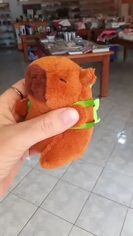 #chaveiro capivara