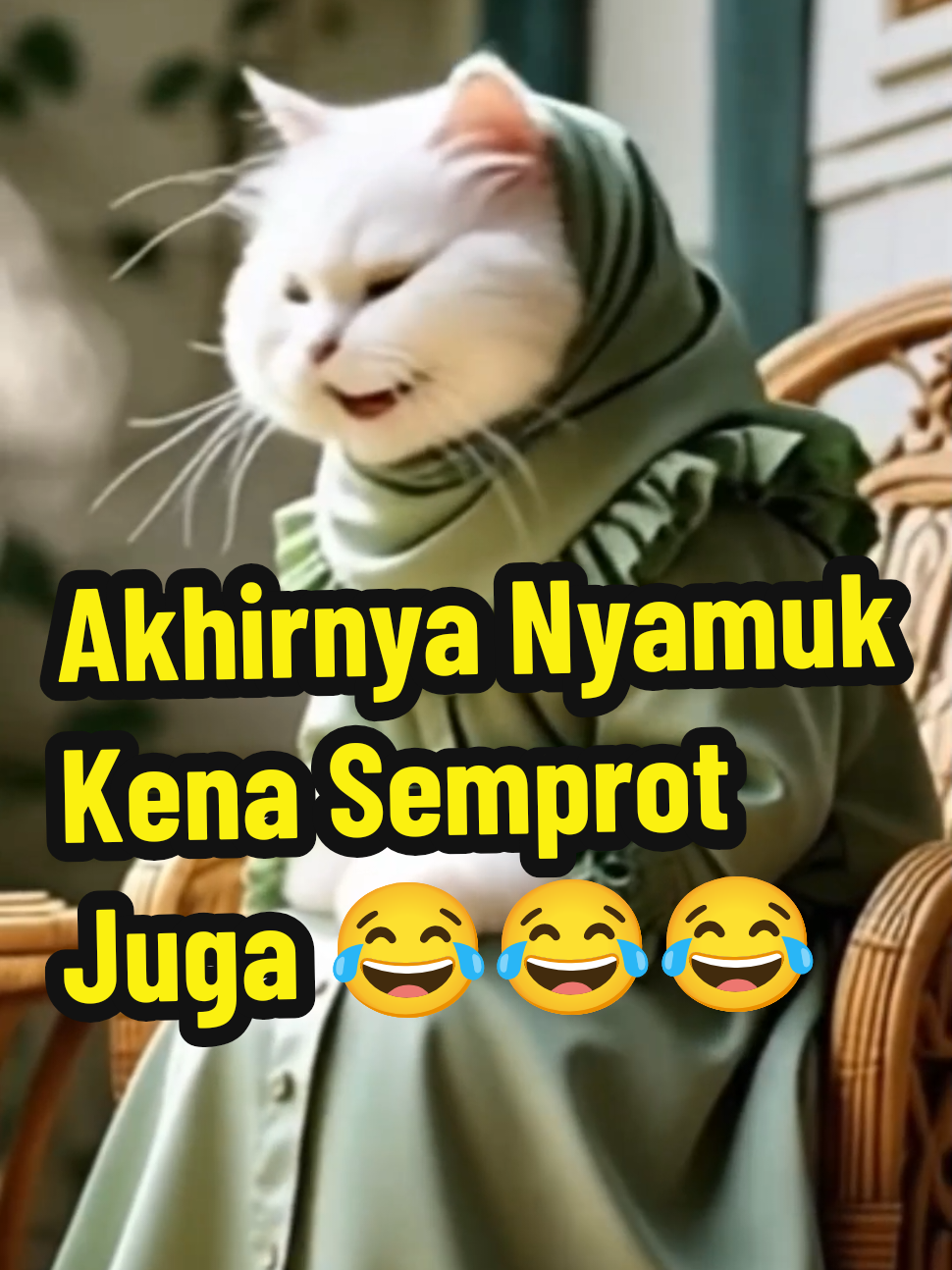 Sekedar Hiburan : Nyamuk Pun Kena Semprot 🤣🤣 #kocak #lucu #kucinggemoy #kucinglucu #hiburan #videolucu #lucu_ngakak #trend 