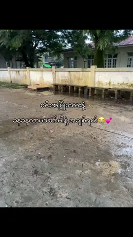 #fypシ゚viral #fyppppppppppppppppppppppp #livephoto #စာတို💯 