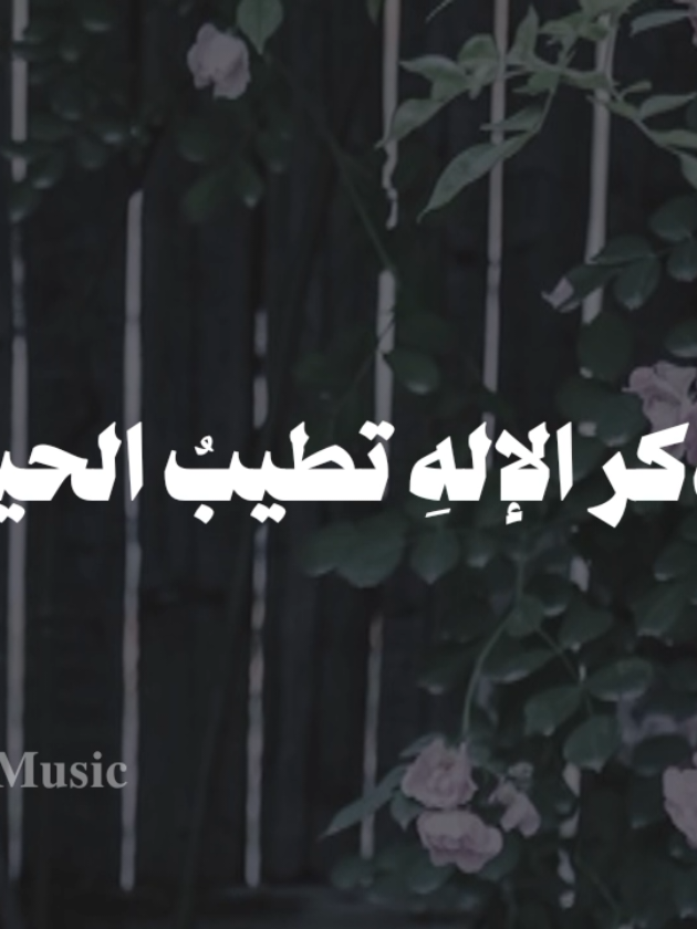 بدون موسيقى 🤎  #وينشط_ذاك_سقيم_العليل #fyp  #اناشيد #بدون_موسيقى #no_music #محمد_ماهر_شاهين 