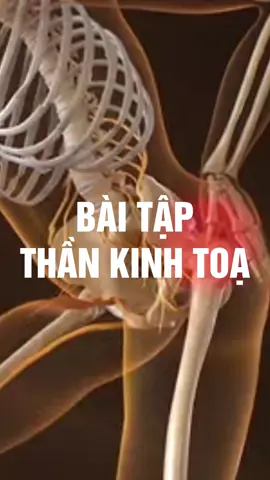 #dauthankinhtoa #dauthatlung #thoatvidiadem #thoaihoacotsong #daulung #vltl 