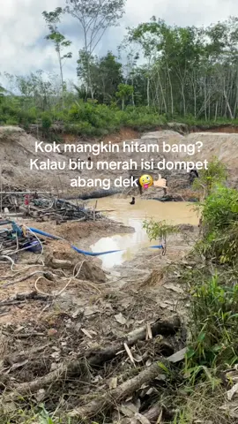 💰💸💷💶#fyp #sedotmaskalimantan #🔥🔥 #tambangemas #fyptambangemas #masukberandafyp 