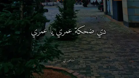عمرو دياب حبيبتي ملاك من البوم ابتدينا♥️✨