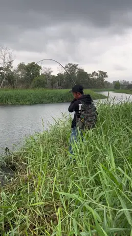 seribu lempar dapat 1 @Putrasialang @wahyudi manamana #riau #pelalawan #castingtoman #castinggabus #castingfishing🎣 #casting #mancingtoman 