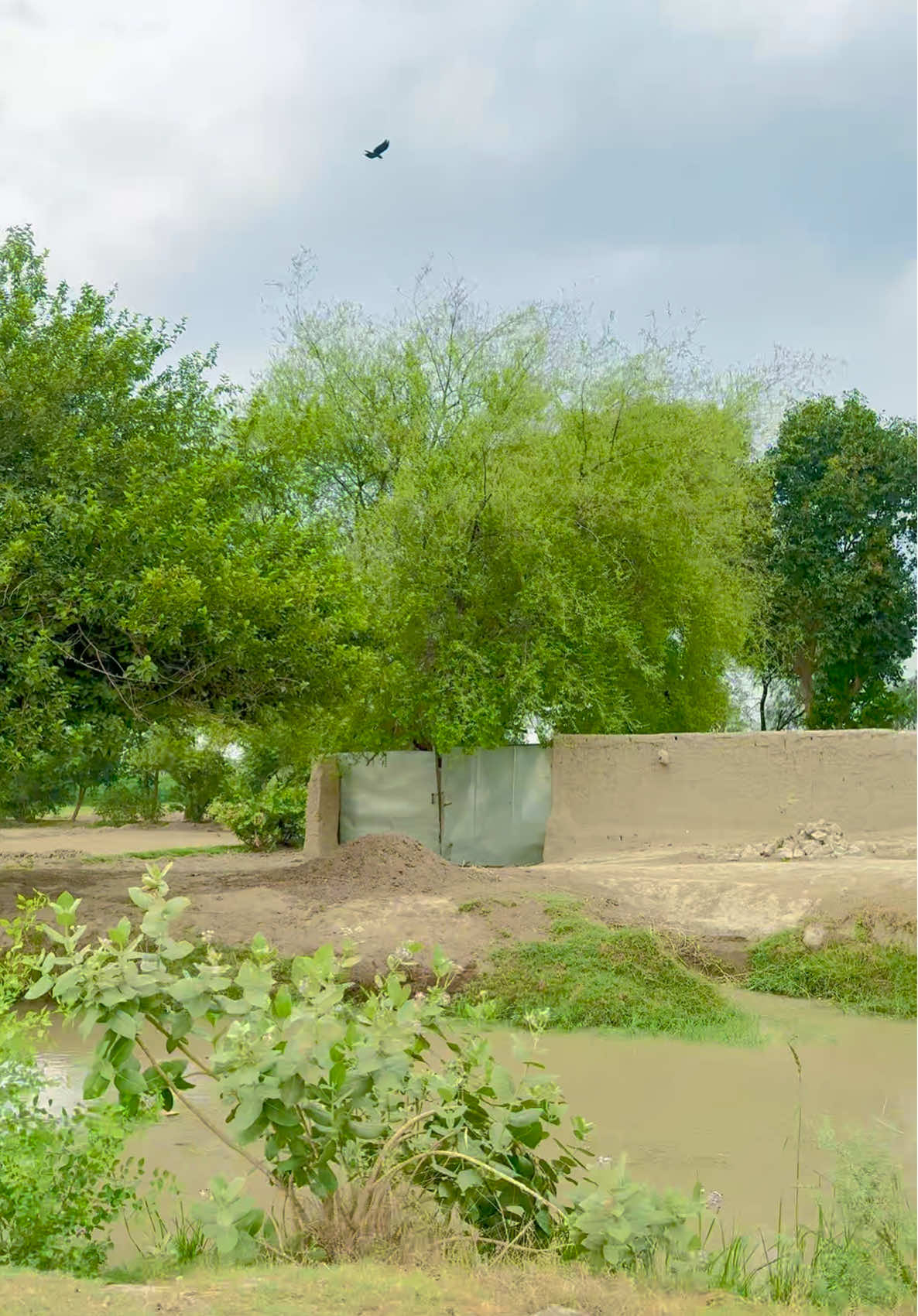 Real Beauty Of The Village #villagelife 