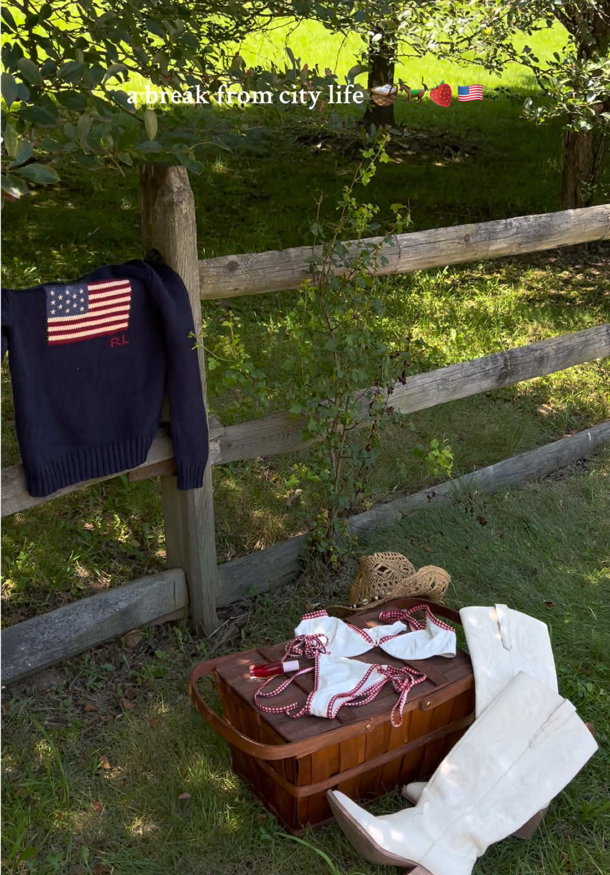 time to touch grass & reset 🌾🧺🇺🇸🐎 #countryside #slowliving #ralphlaurenaesthetic