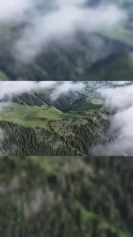 60FlyOverChina --Aerial view of Kalajun Grassland after rainfall #Xinjiang