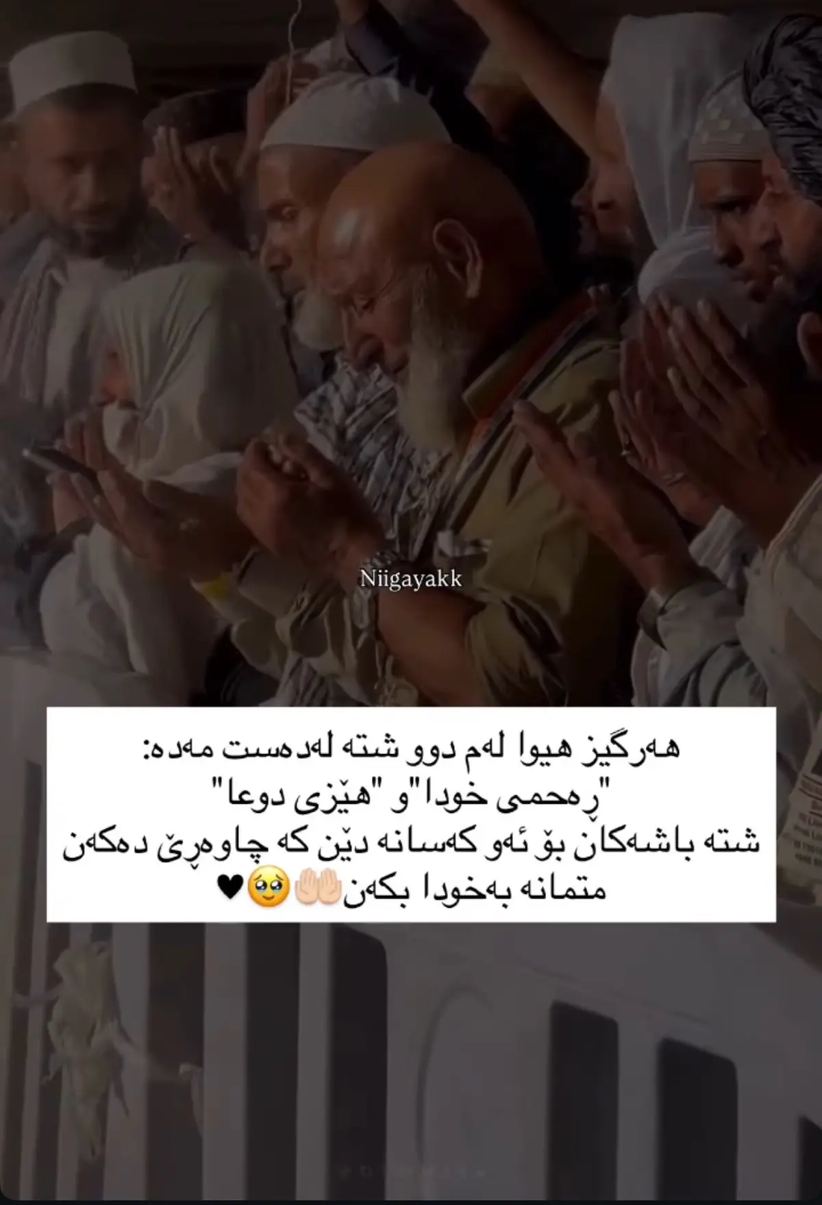 #hawler_slemani_dhok_karkuk_hallabja #کوردستان_سلێمانی_کەرکوک_هەولیر #arbil #kurdish #iraq 