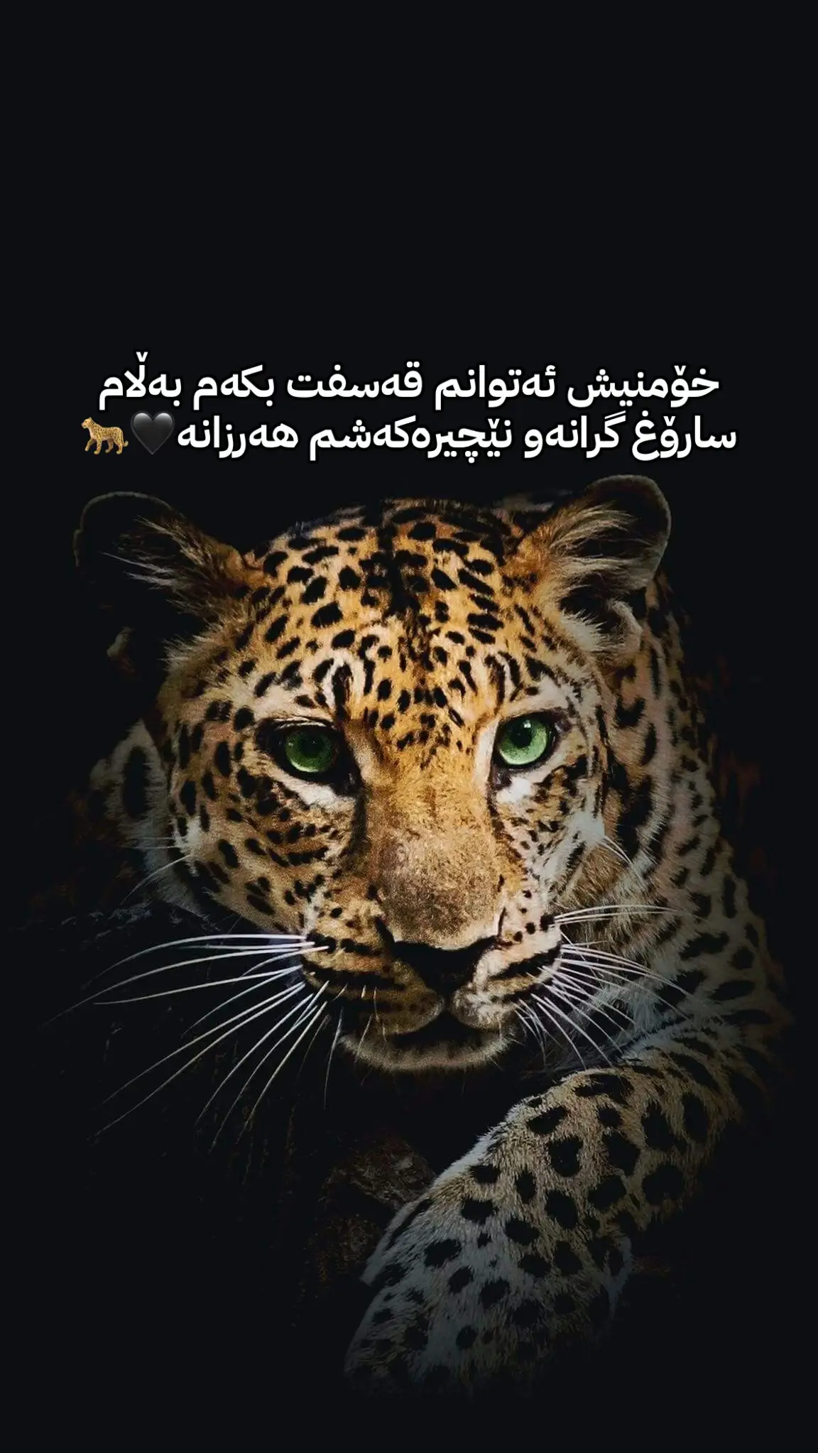 #erbil 