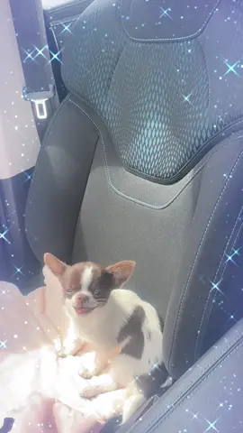 Мой певец😍