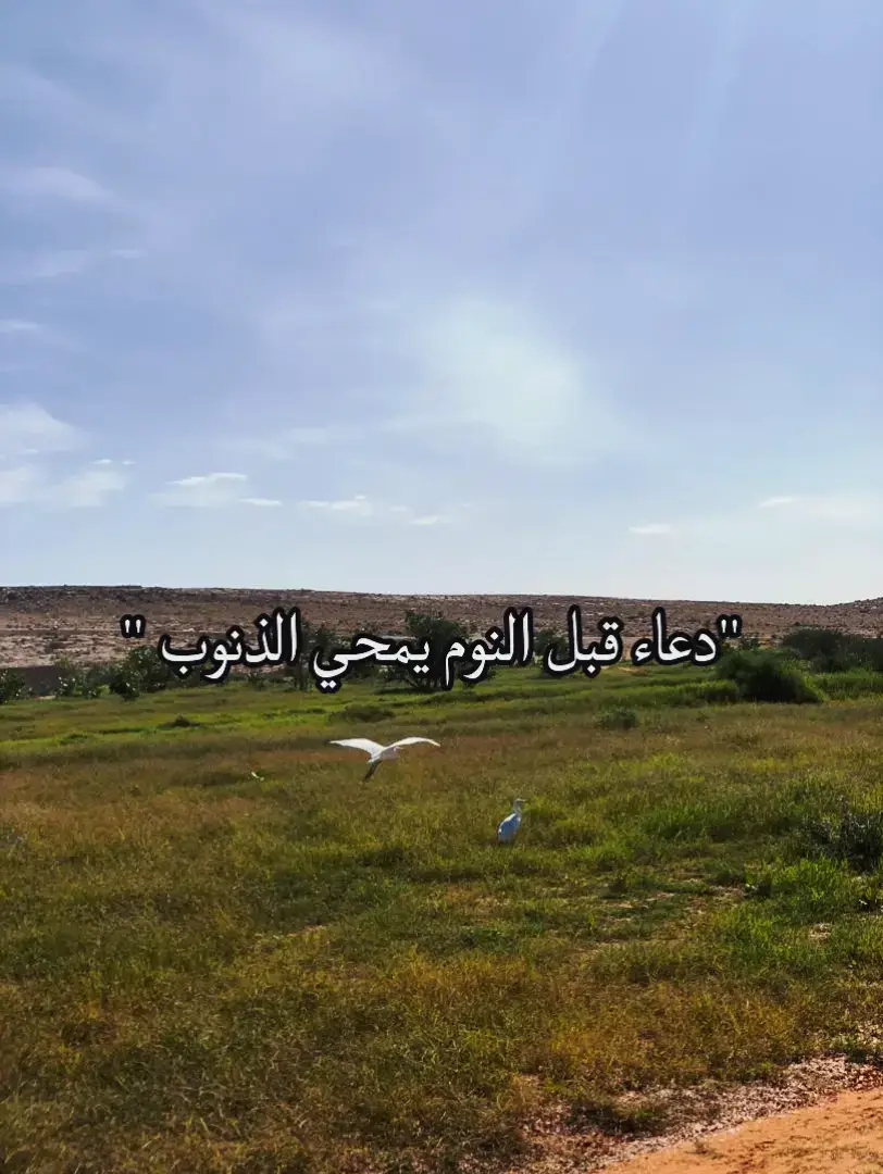 #🤍.#ليبيا_طرابلس_مصر_تونس_المغرب_الخليج #مصراتة🇱🇾 #تصميمي #اشعب_اصيني_ماله_حل😂💔💔 