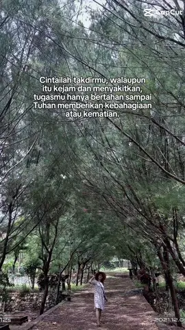 #CapCut #video #tiktok #fypシ #video 
