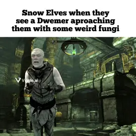 #skyrim #skyrimmemes #skyrimtiktok #skyrimmods #skyrimanniversaryedition #oblivionmeme 