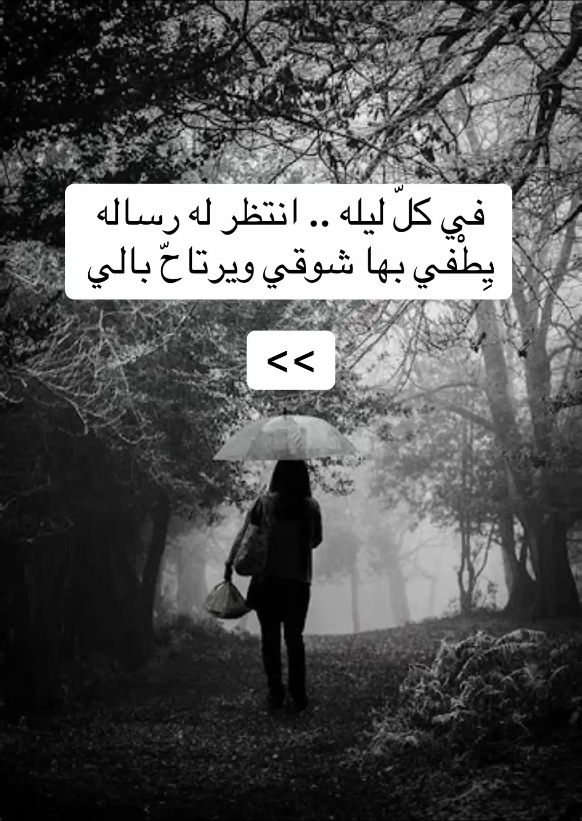 #شعروقصايد #شعراء_وذواقين_الشعر_الشعبي #قصايد_شعر_خواطر #بوح_شعر #اكسبلورexplore #شعر #شعراء_وذواقين_الشعر_الشعبي🎸 #ترند #شاعر #اكسبلور #مشاهدات #متابعه #فولو #ملايين_مشاهدات #مليون_مشاهدة❤ #انتشار_سريع #قصايد #