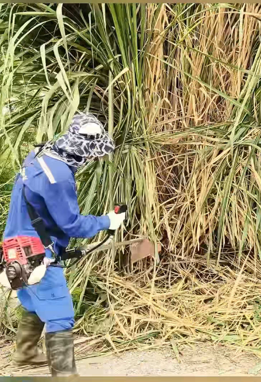 #mowing #edging #cleanup #asmr #lawncleanup 