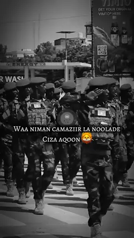 The lions 🇸🇴🦁#ciidanka_xooga_somaliyed #ciidankaqaranka #fyp #somalitiktok #somalitiktok12 