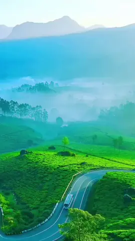 The Heaven.... #godsowncountry #keralam #naturevibes #naturelovers #naturelove #nature #naturelover 