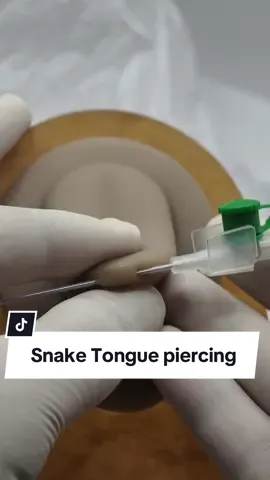 Snake piercing #snakepiercing #piercing #piercings #piercingcheck #piercingtok #piercingstudio #piercinglovers #vairal #fyp 