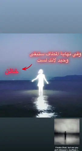 #مالي_خلق_احط_هاشتاقات #الشعب_الصيني_ماله_حل😂😂 #fyp 