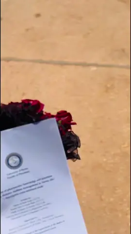 #درنه #كلية الصيدلة درنه 🎓❤️